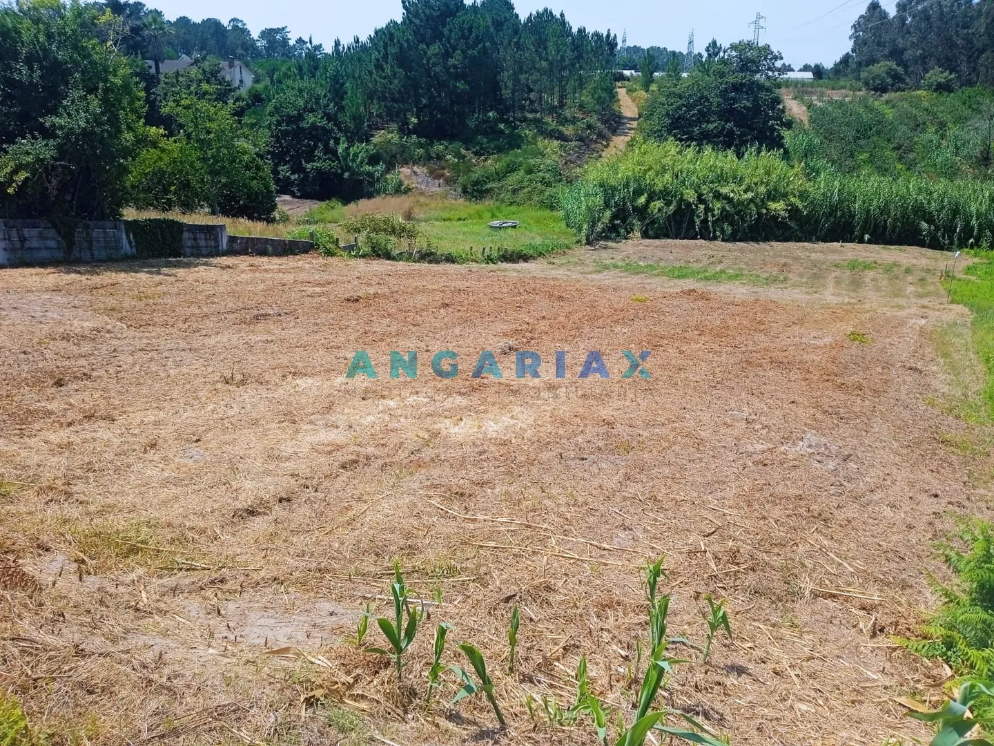 Terreno Urbano T0 - Maceira, Leiria, Leiria - Miniatura: 6/9