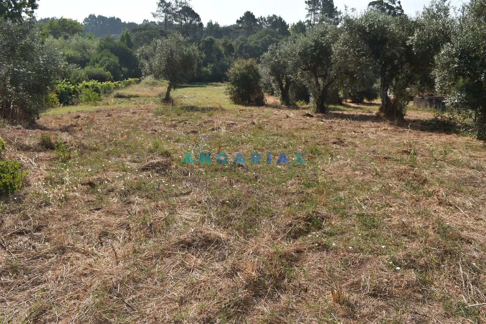 Terreno R�stico T0 - Aguda, Figueir� dos Vinhos, Leiria - Imagem grande