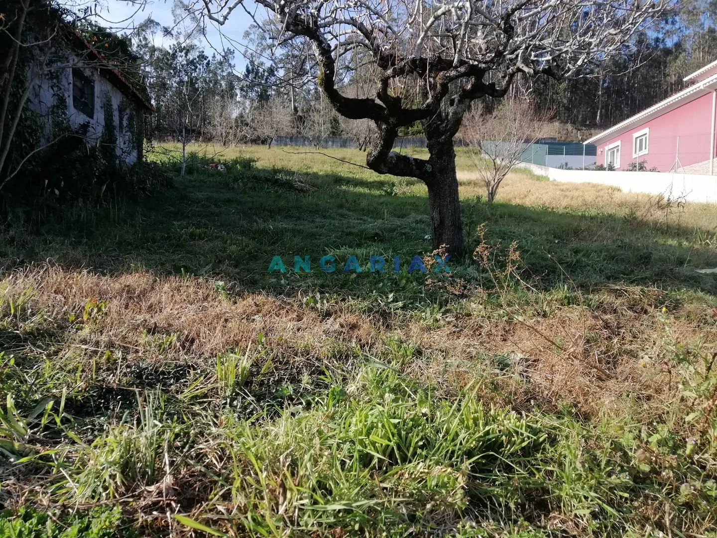 Terreno Urbano T0 - Milagres, Leiria, Leiria