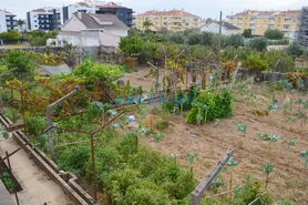 Terreno Urbano T0 - Nossa Senhora de F�tima, Entroncamento, Santar�m