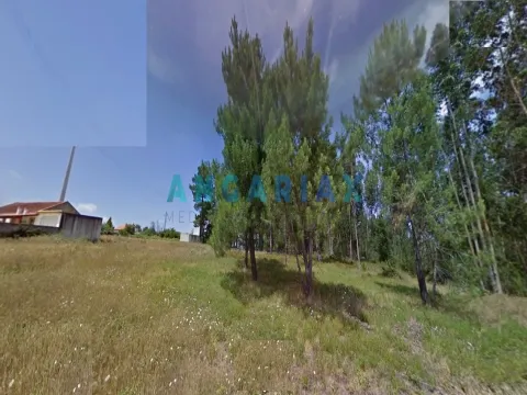 Terreno Urbano T0 - Marinha Grande, Marinha Grande, Leiria - Miniatura: 7/9