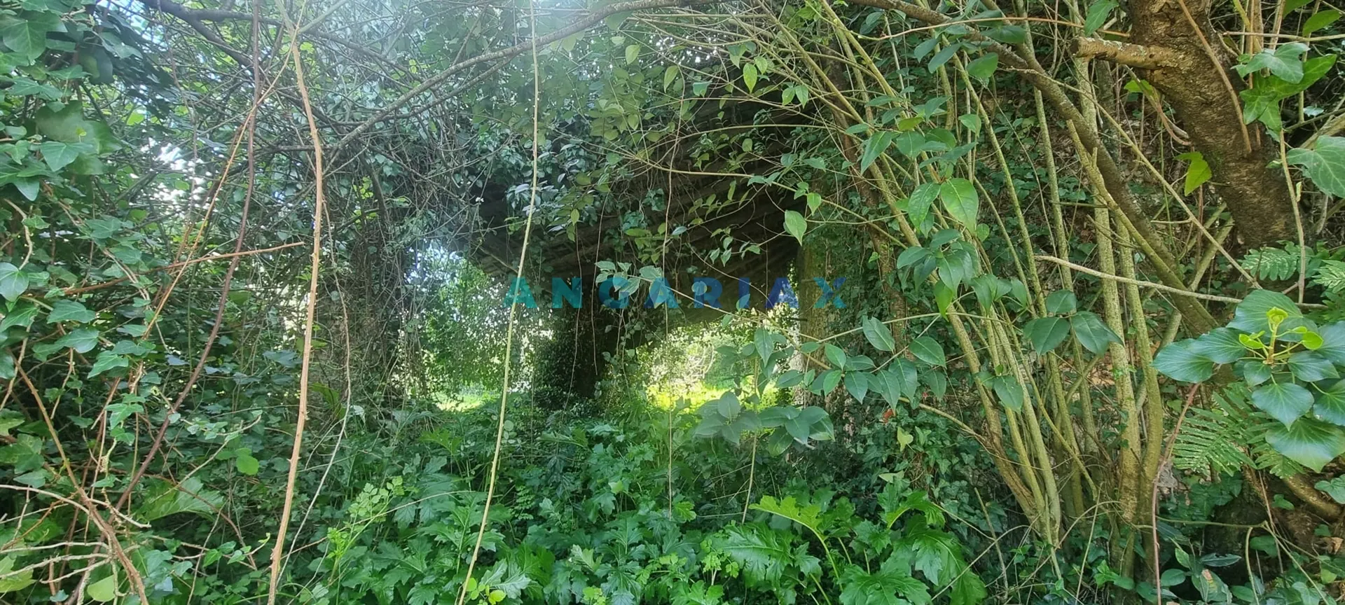 Terreno Urbano T0 - Souto da Carpalhosa, Leiria, Leiria - Miniatura: 4/9