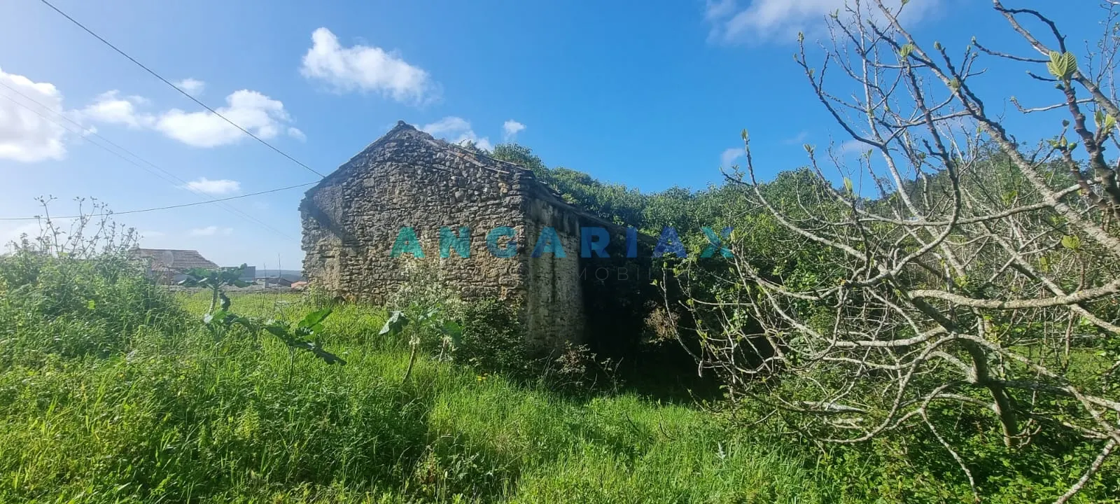 Terreno Urbano T0 - Souto da Carpalhosa, Leiria, Leiria - Miniatura: 6/9