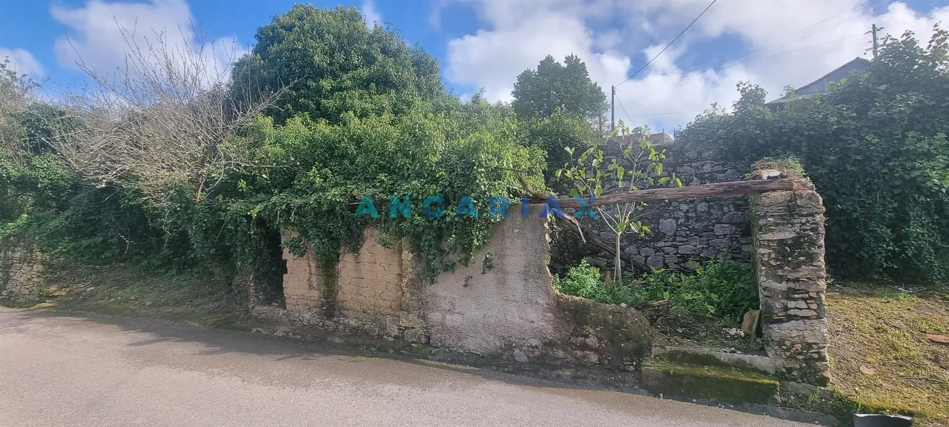 Terreno Urbano T0 - Souto da Carpalhosa, Leiria, Leiria - Miniatura: 7/9