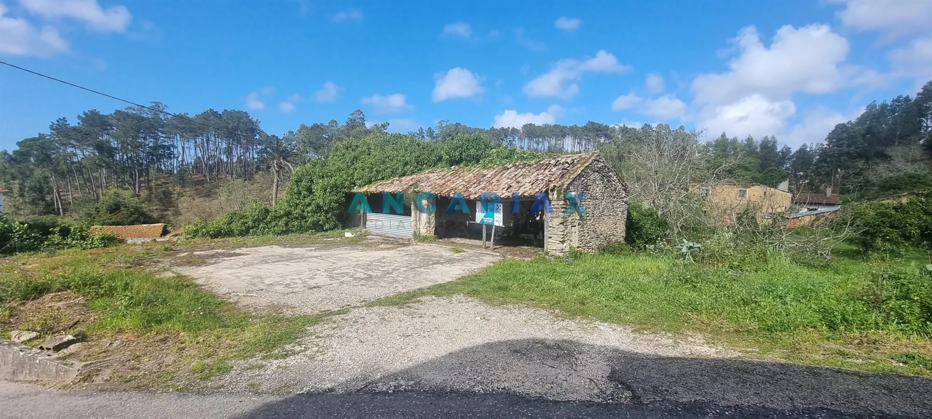 Terreno Urbano T0 - Souto da Carpalhosa, Leiria, Leiria - Miniatura: 9/9