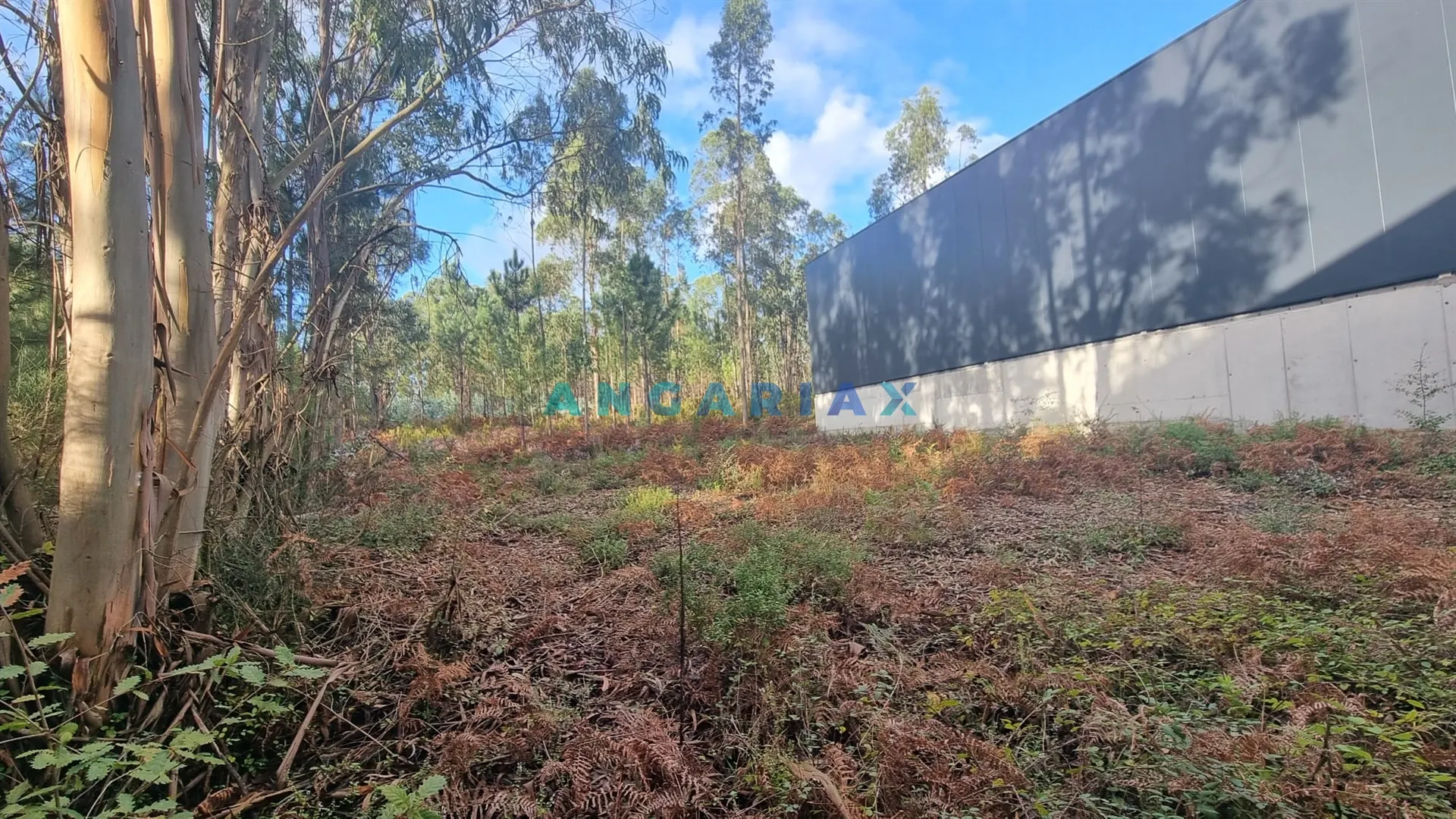Terreno Industrial T0 - Marrazes, Leiria, Leiria - Imagem grande