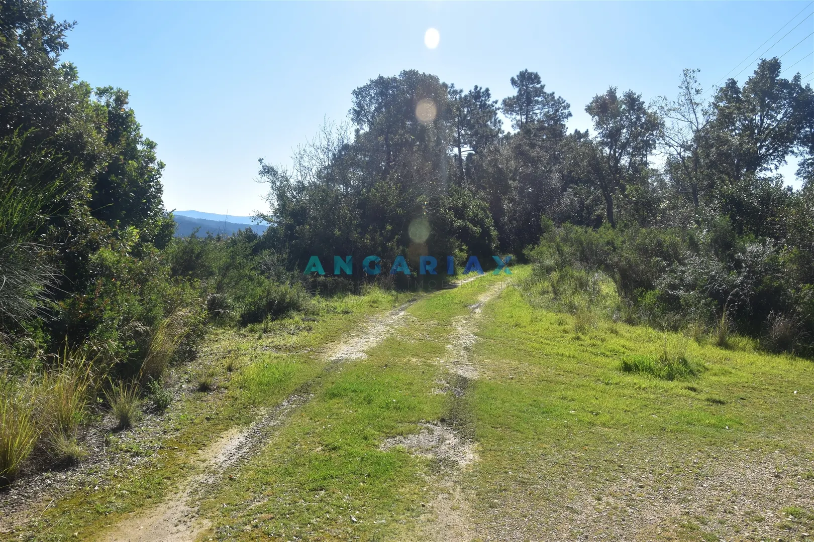 Terreno Urbano T0 - Santa Clara, Coimbra, Coimbra