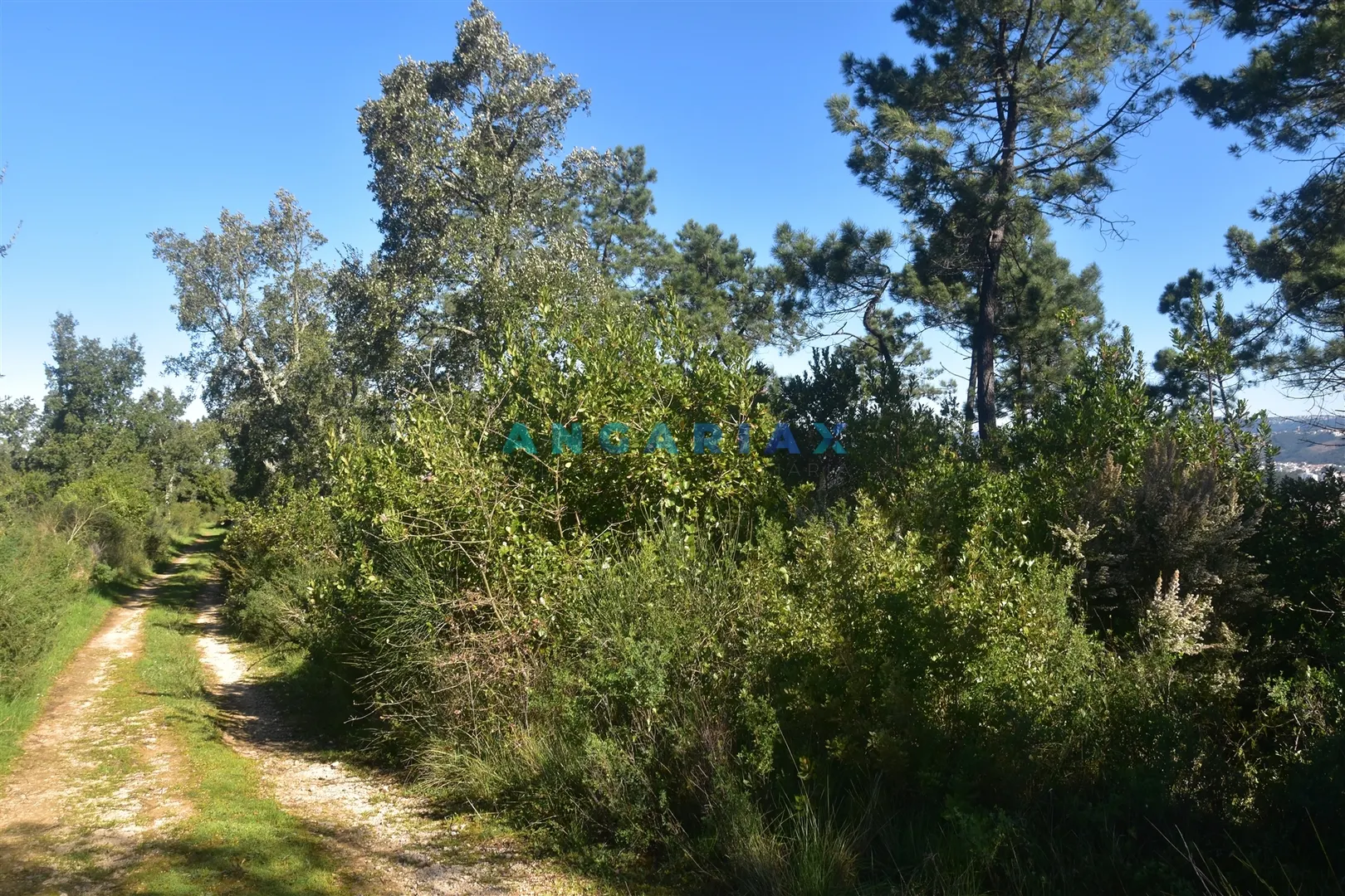Terreno Urbano T0 - Santa Clara, Coimbra, Coimbra - Miniatura: 4/9
