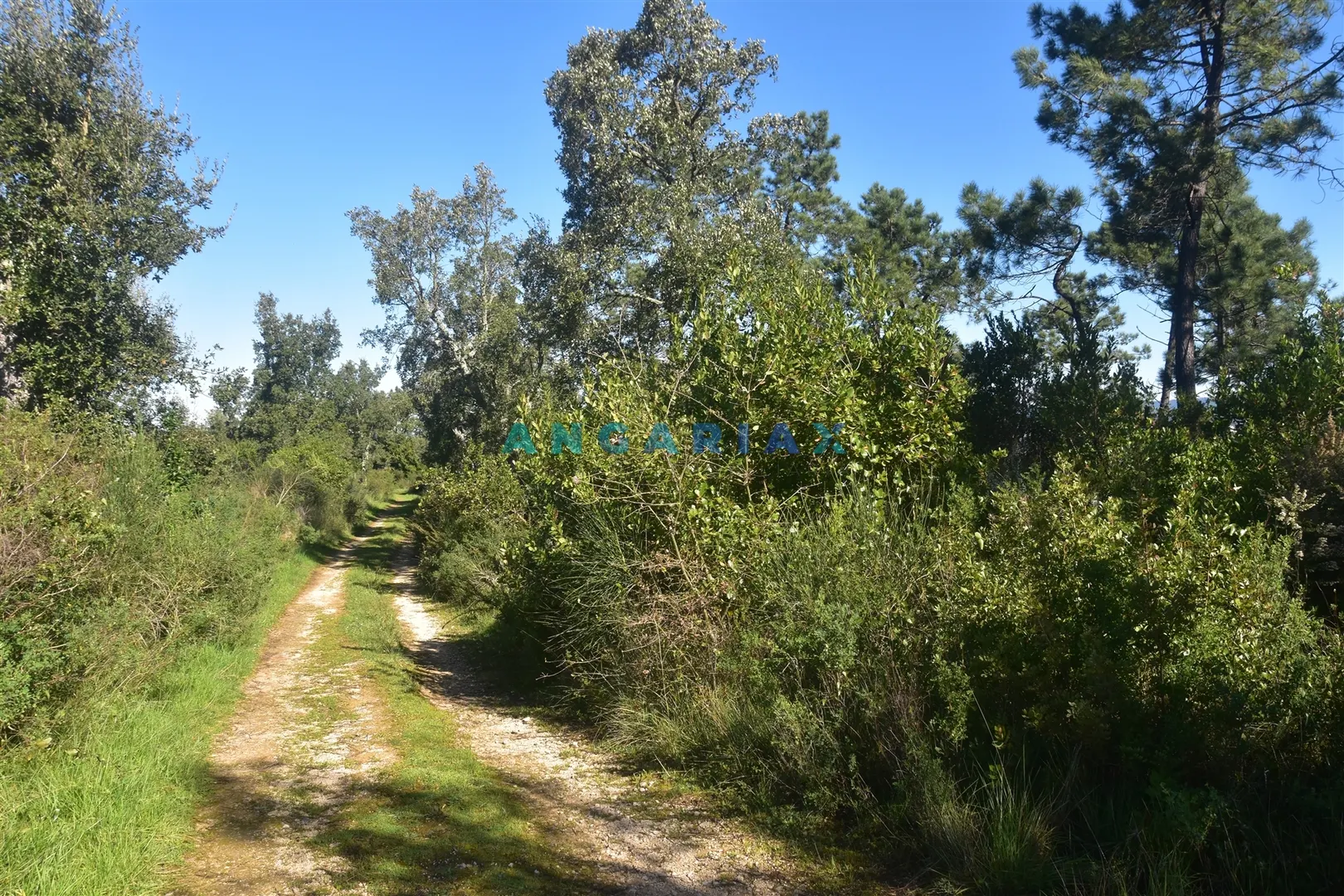 Terreno Urbano T0 - Santa Clara, Coimbra, Coimbra - Miniatura: 5/9