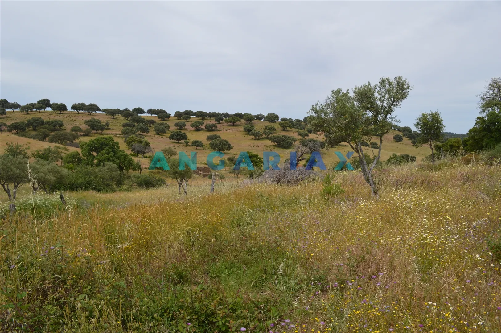 Terreno Urbano T0 - Rosmaninhal, Idanha-a-Nova, Castelo Branco - Miniatura: 6/9