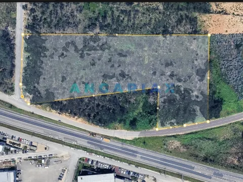 Terreno Rstico T0 - Parceiros, Leiria, Leiria - Miniatura: 8/9