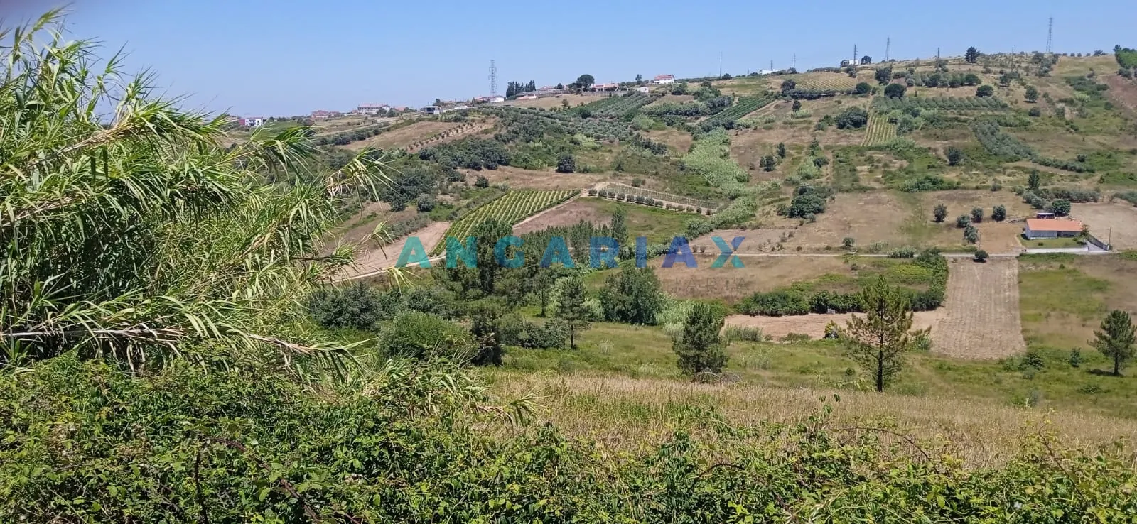 Terreno Urbano T0 - Batalha, Batalha, Leiria - Imagem grande