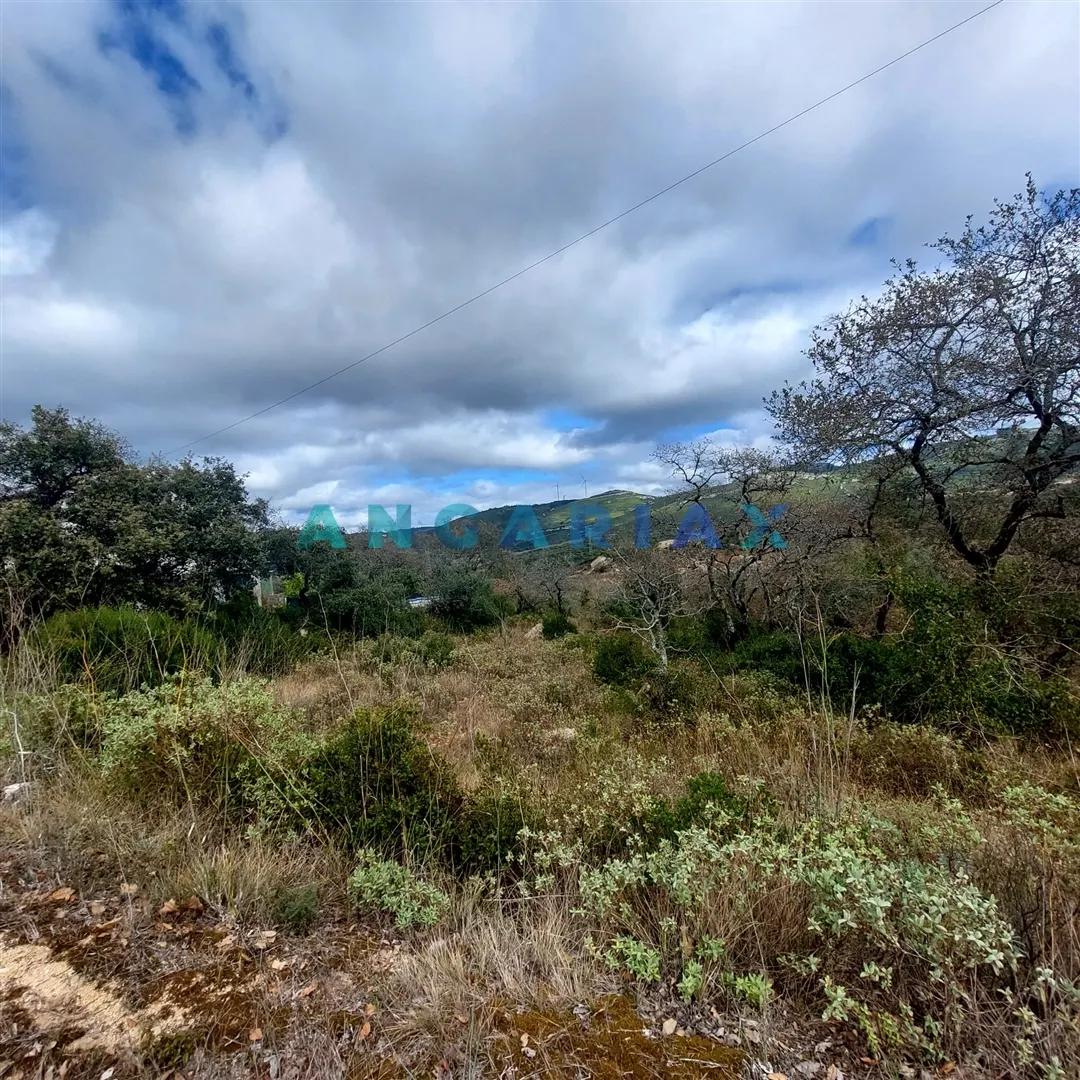 Terreno R�stico T0 - Alqueid�o da Serra, Porto de M�s, Leiria - Imagem grande
