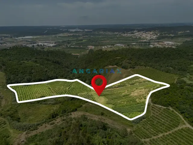 Terreno Urbano T0 - Alcoba�a, Alcoba�a, Leiria - Imagem grande