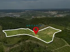 Terreno Urbano T0 - Alcoba�a, Alcoba�a, Leiria