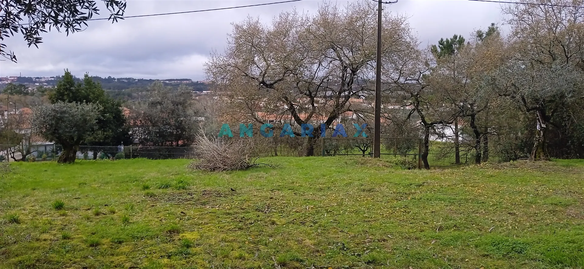 Terreno Urbano T0 - Pedreiras, Porto de Ms, Leiria - Miniatura: 1/9