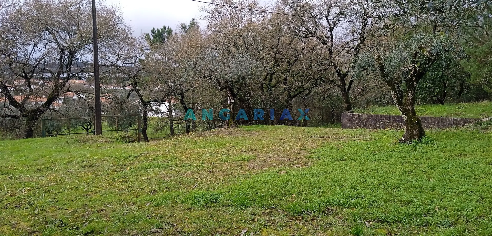 Terreno Urbano T0 - Pedreiras, Porto de Ms, Leiria - Miniatura: 4/9
