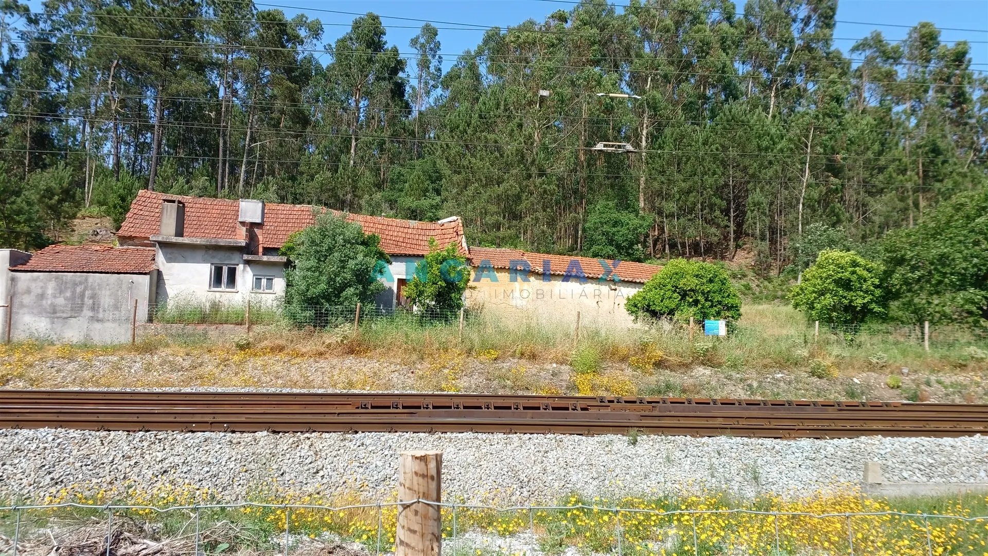 Moradia T4 - Santiago de Litm, Pombal, Leiria - Miniatura: 7/9