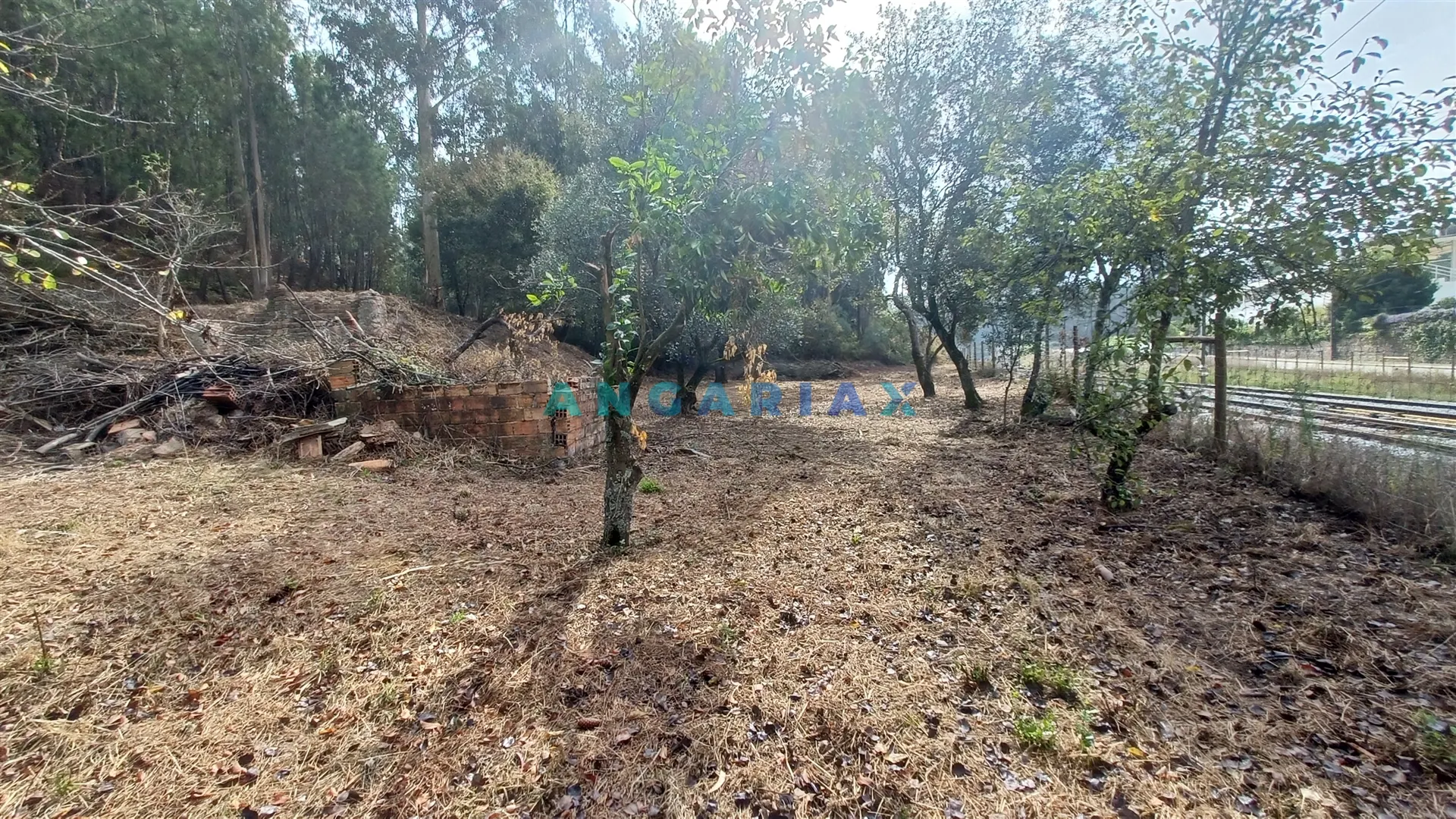 Moradia T4 - Santiago de Litm, Pombal, Leiria - Miniatura: 8/9