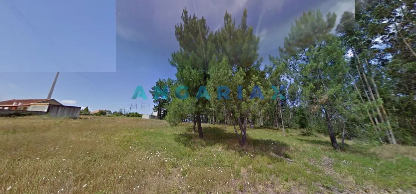 Terreno R�stico T0 - Marinha Grande, Marinha Grande, Leiria - Imagem grande