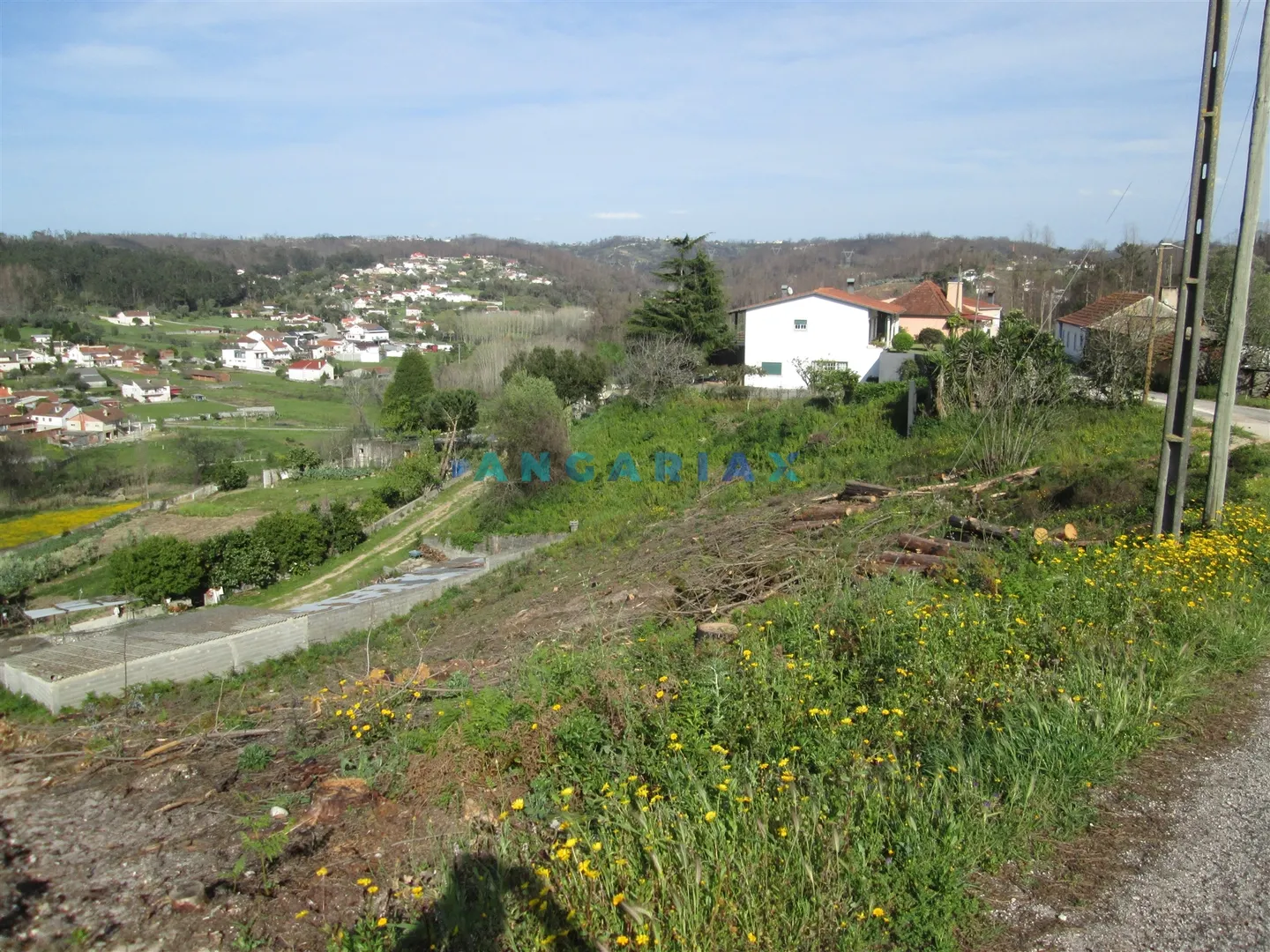 Terreno Urbano T0 - Colmeias, Leiria, Leiria - Imagem grande