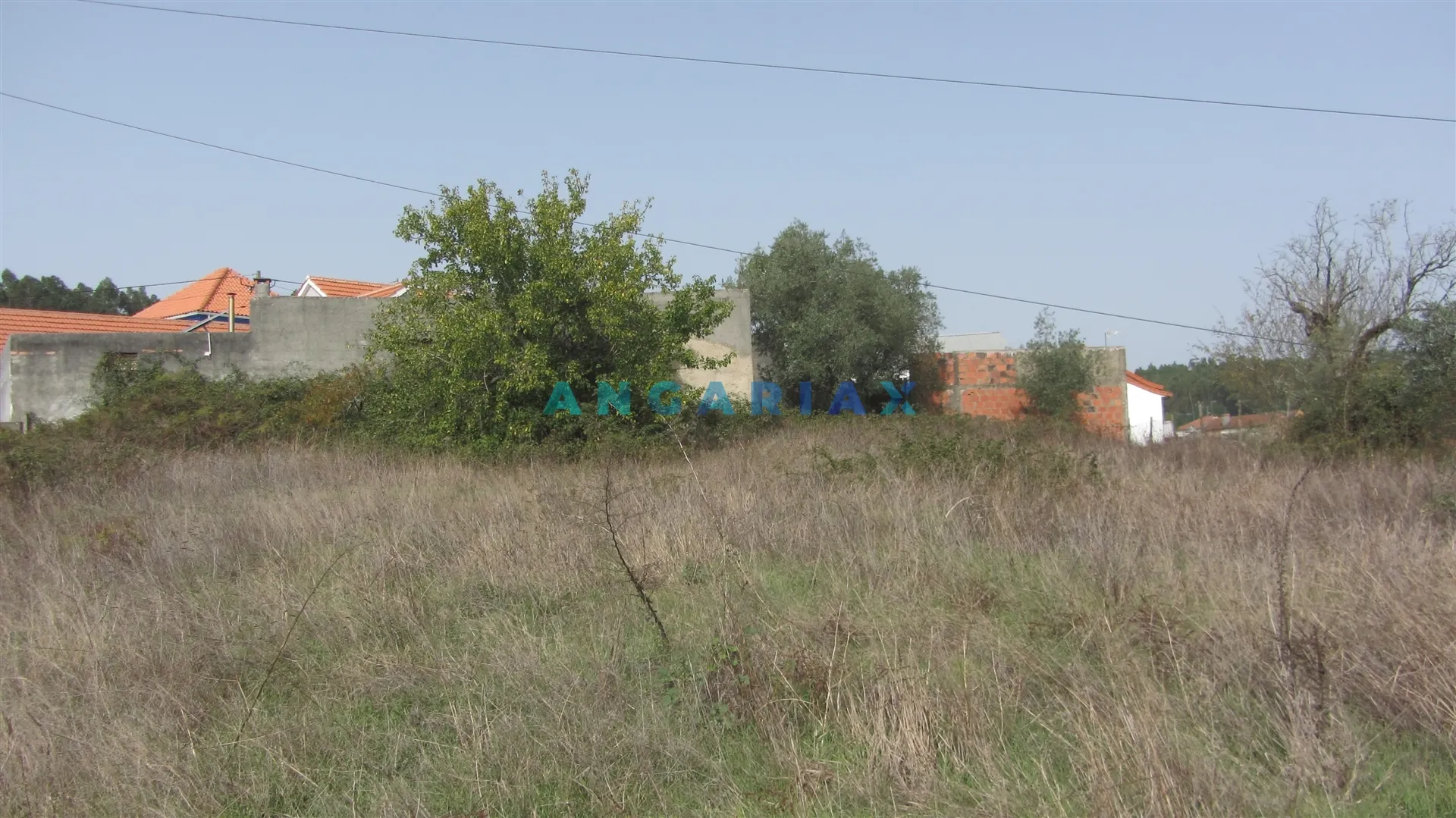 Terreno R�stico T0 - Santiago de Lit�m, Pombal, Leiria - Imagem grande