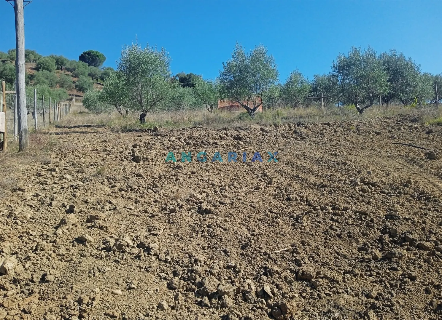 Terreno Urbano T0 - Batalha, Batalha, Leiria
