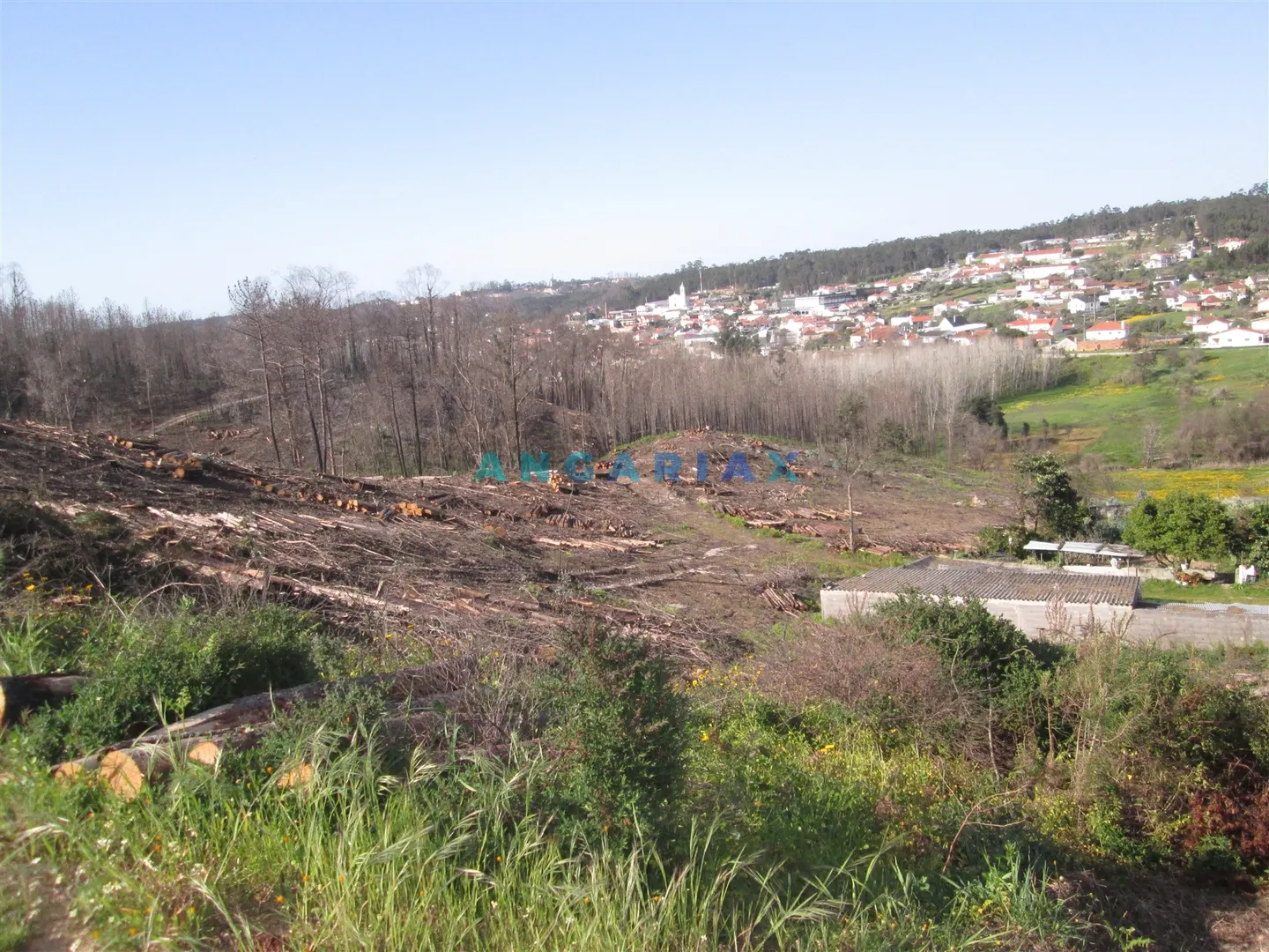 Terreno Urbano T0 - Colmeias, Leiria, Leiria - Miniatura: 3/9