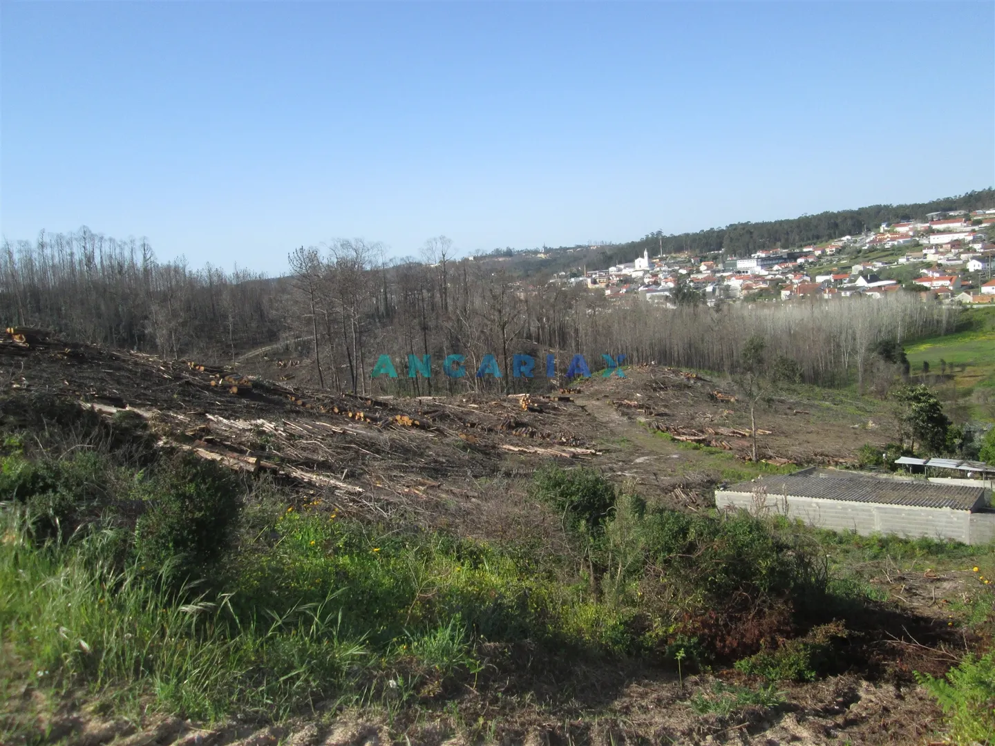 Terreno Urbano T0 - Colmeias, Leiria, Leiria - Miniatura: 4/9