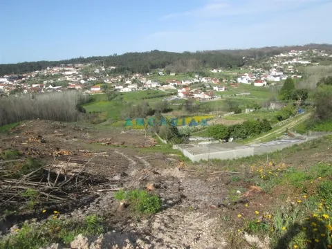 Terreno Urbano T0 - Colmeias, Leiria, Leiria - Miniatura: 5/9