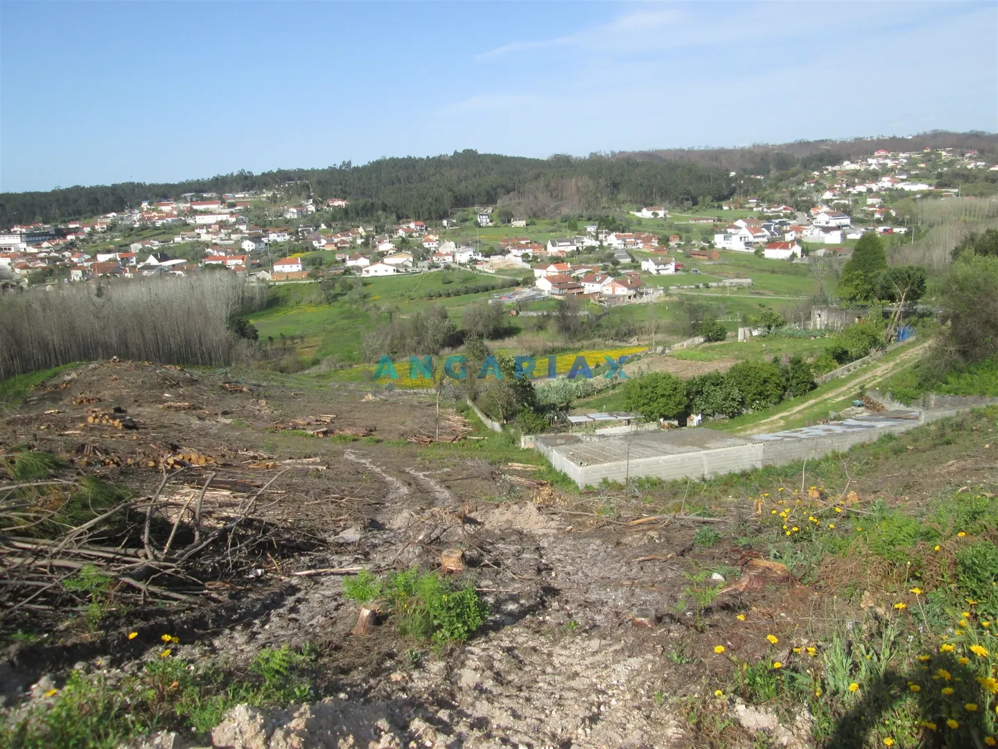 Terreno Urbano T0 - Colmeias, Leiria, Leiria - Miniatura: 8/9