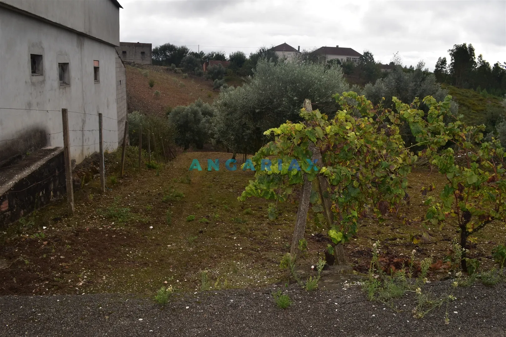 Terreno R�stico T0 - Gra�a, Pedr�g�o Grande, Leiria - Imagem grande