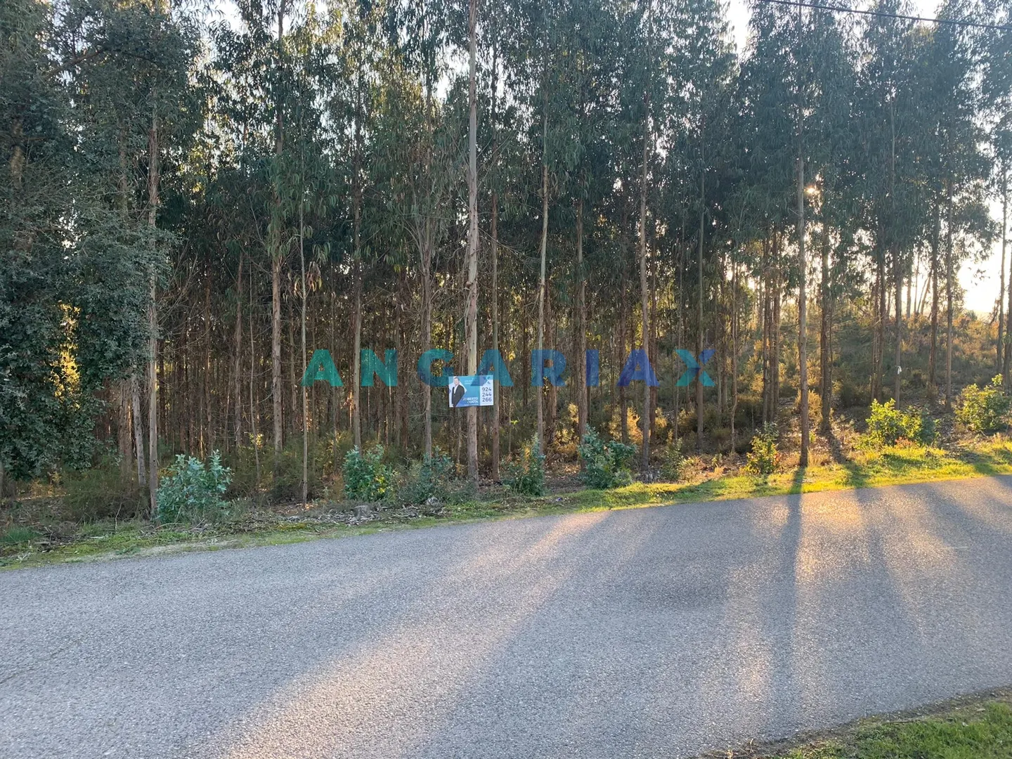 Terreno Urbano T0 - Arrabal, Leiria, Leiria - Imagem grande
