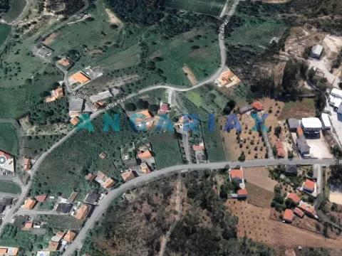 Terreno Rstico T0 - Arrabal, Leiria, Leiria - Miniatura: 7/9