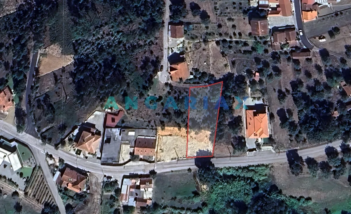 Terreno R�stico T0 - Pelariga, Pombal, Leiria - Miniatura: 3/3