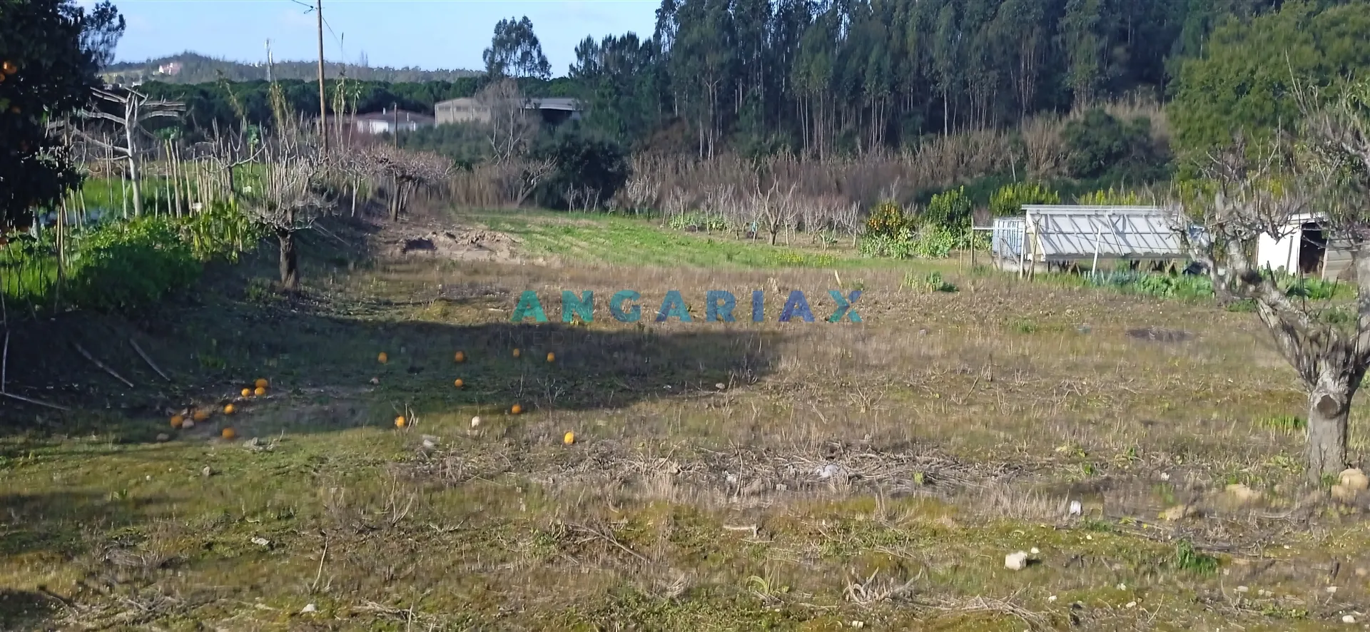 Terreno Urbano T0 - Leiria, Leiria, Leiria - Imagem grande