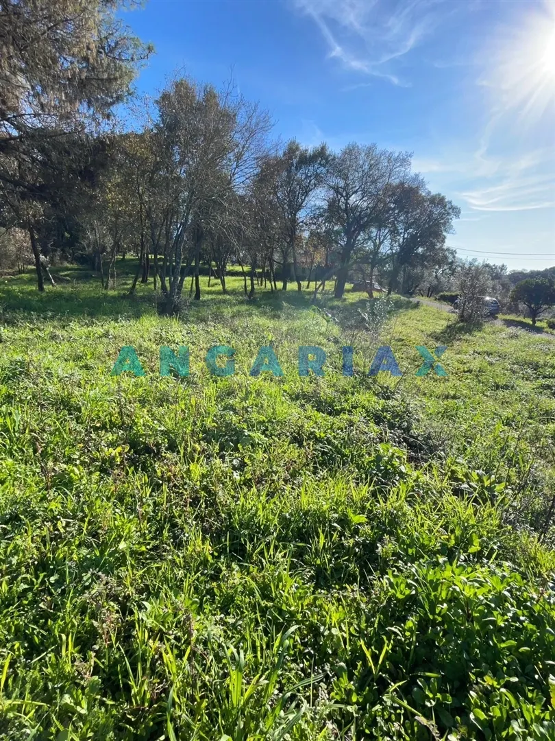 Terreno R�stico T0 - Casais, Tomar, Santar�m - Imagem grande