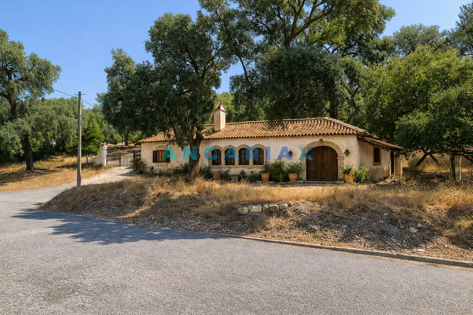 Terreno R�stico T0 - Bemposta, Abrantes, Santar�m - Imagem grande