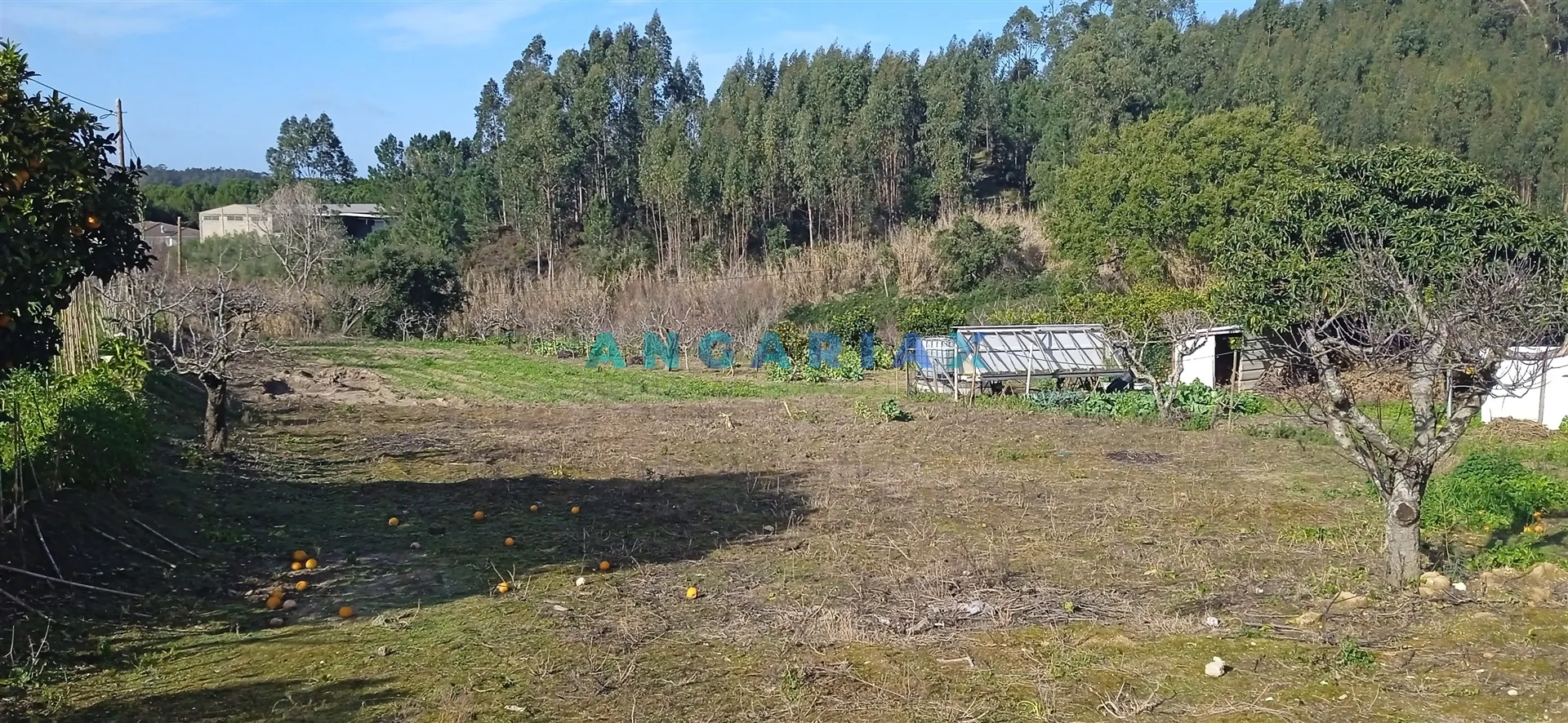 Terreno Urbano T0 - Leiria, Leiria, Leiria