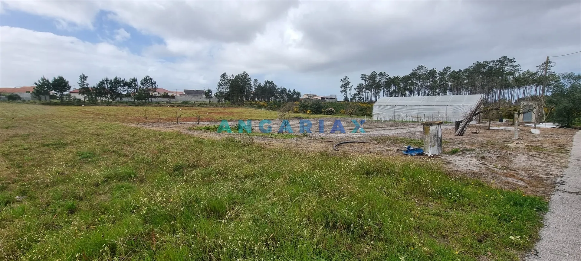 Terreno R�stico T0 - Monte Redondo, Leiria, Leiria
