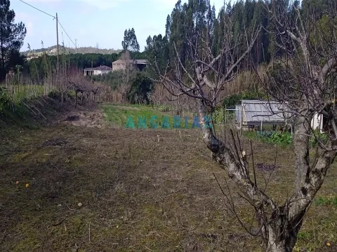 Terreno Urbano T0 - Leiria, Leiria, Leiria - Miniatura: 5/9