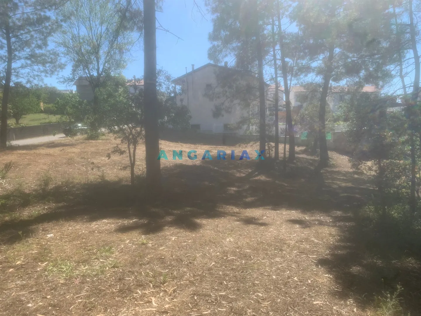 Terreno Urbano T0 - Leiria, Leiria, Leiria - Miniatura: 1/9