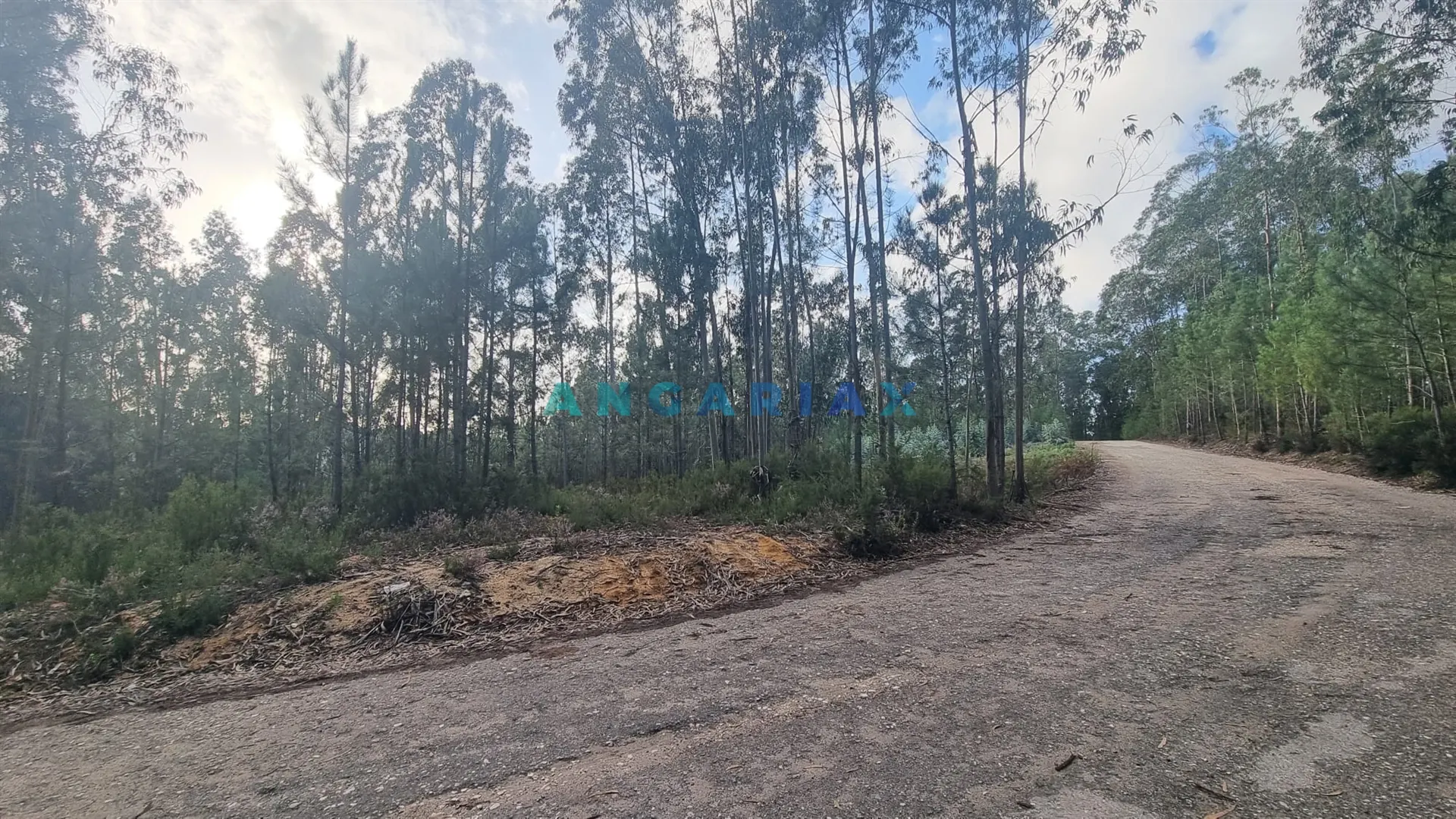 Terreno Industrial T0 - Marrazes, Leiria, Leiria - Miniatura: 2/9