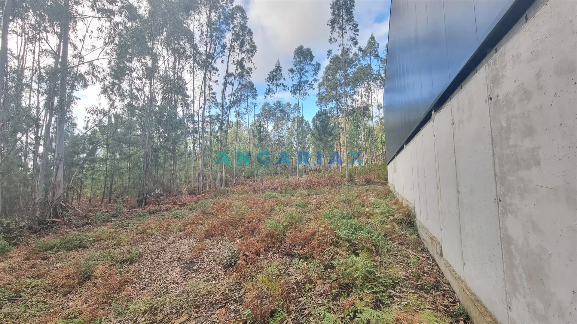 Terreno Industrial T0 - Marrazes, Leiria, Leiria - Miniatura: 5/9