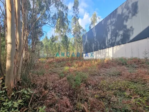 Terreno Industrial T0 - Marrazes, Leiria, Leiria - Miniatura: 7/9