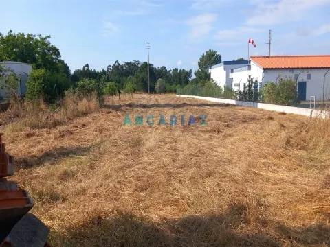 Terreno Rstico T0 - Monte Real, Leiria, Leiria - Miniatura: 5/9