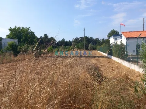 Terreno Rstico T0 - Monte Real, Leiria, Leiria - Miniatura: 7/9