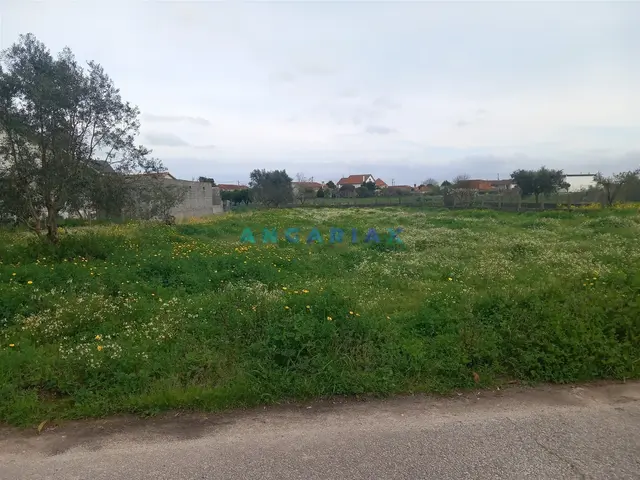 Terreno R�stico T0 - Vermoil, Pombal, Leiria - Imagem grande