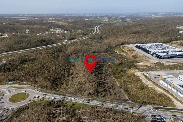 Terreno R�stico T0 - Marinha Grande, Marinha Grande, Leiria - Imagem grande