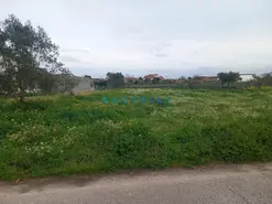 Terreno R�stico T0 - Vermoil, Pombal, Leiria
